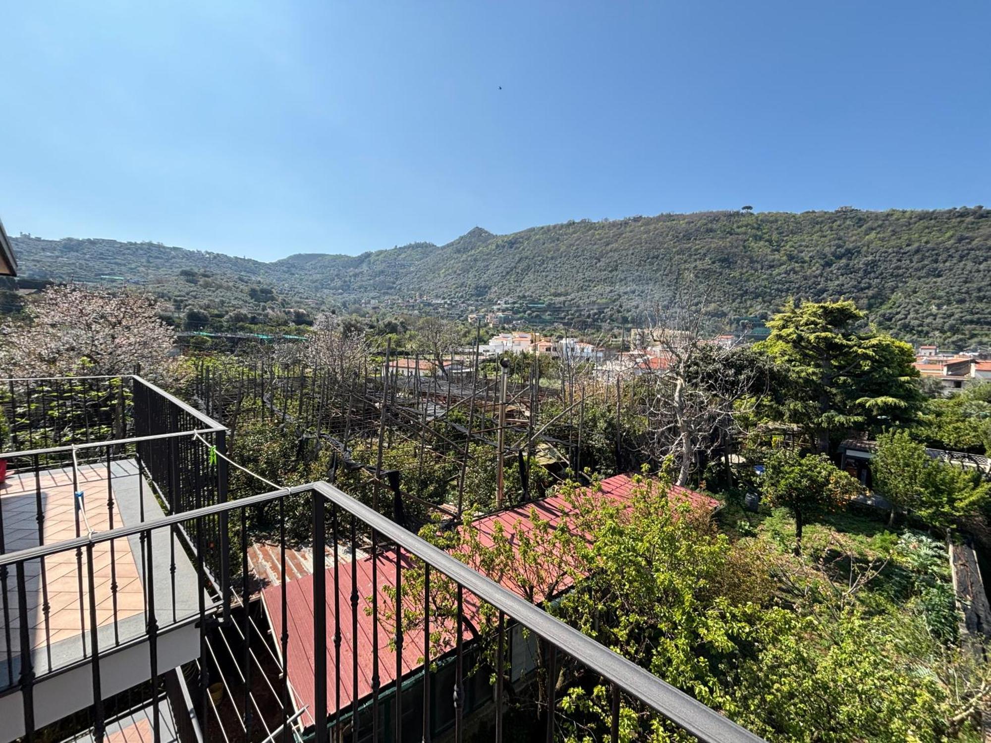 Intero Appartamento A Sant'Agnello , Le Ortensie Buitenkant foto